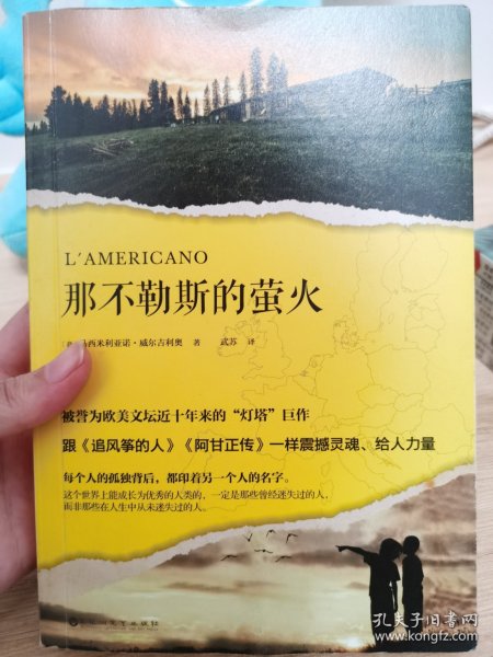 那不勒斯的萤火（被誉为欧美文坛近十年来的“灯塔”巨作，跟《追风筝的人》《阿甘正传》一样震撼灵魂、给人力量。）