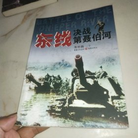 东线决战第聂伯河：决战第聂泊河