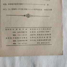 中国青年杂志 1963年第19期