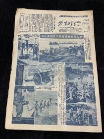 1952年8月，劳动报画刊，题材好