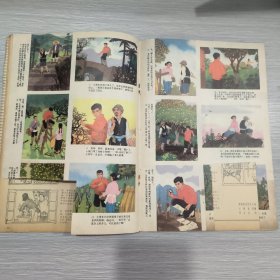 连环画报 1979年第5期，