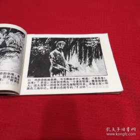 “T3796”号逃犯