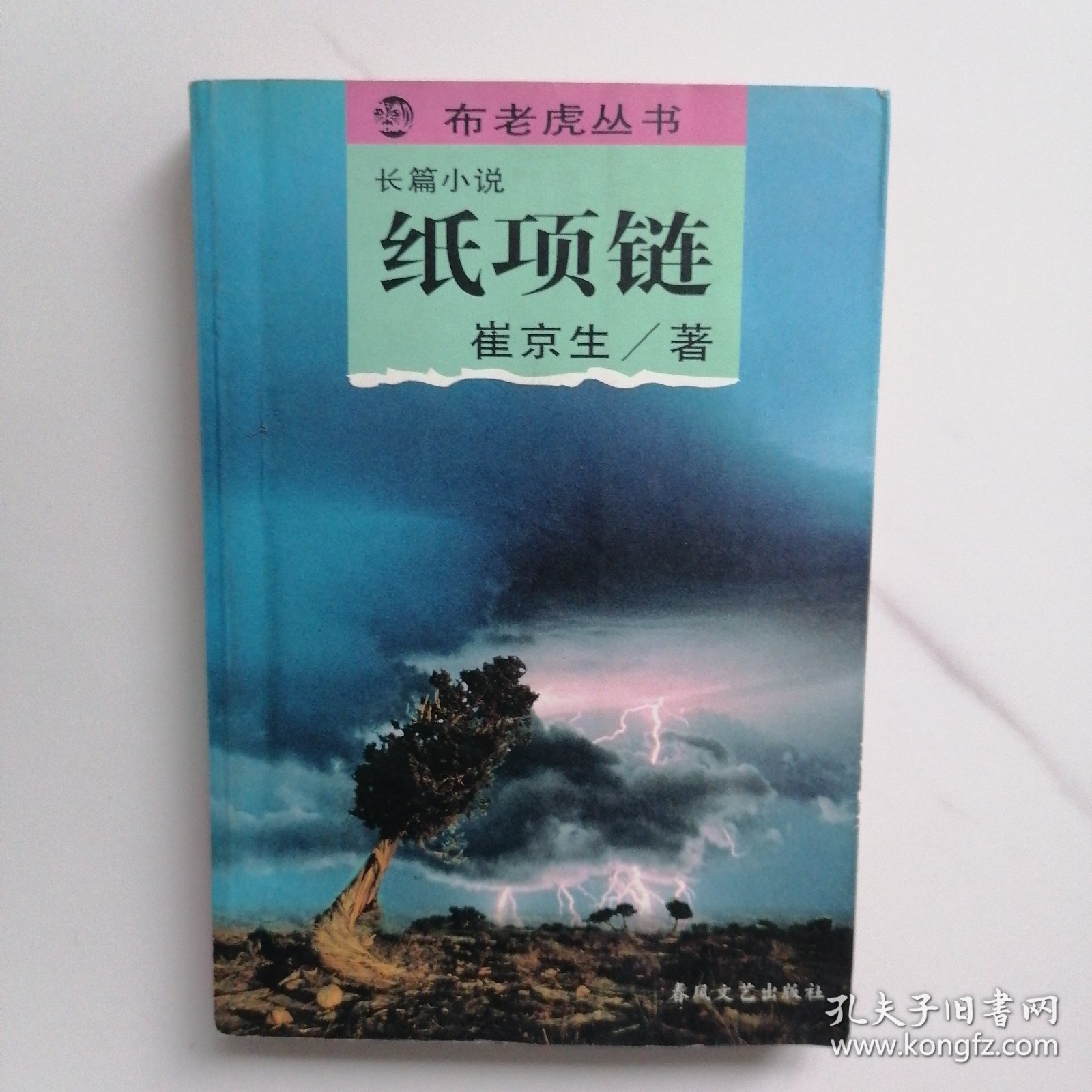 纸项链：布老虎丛书