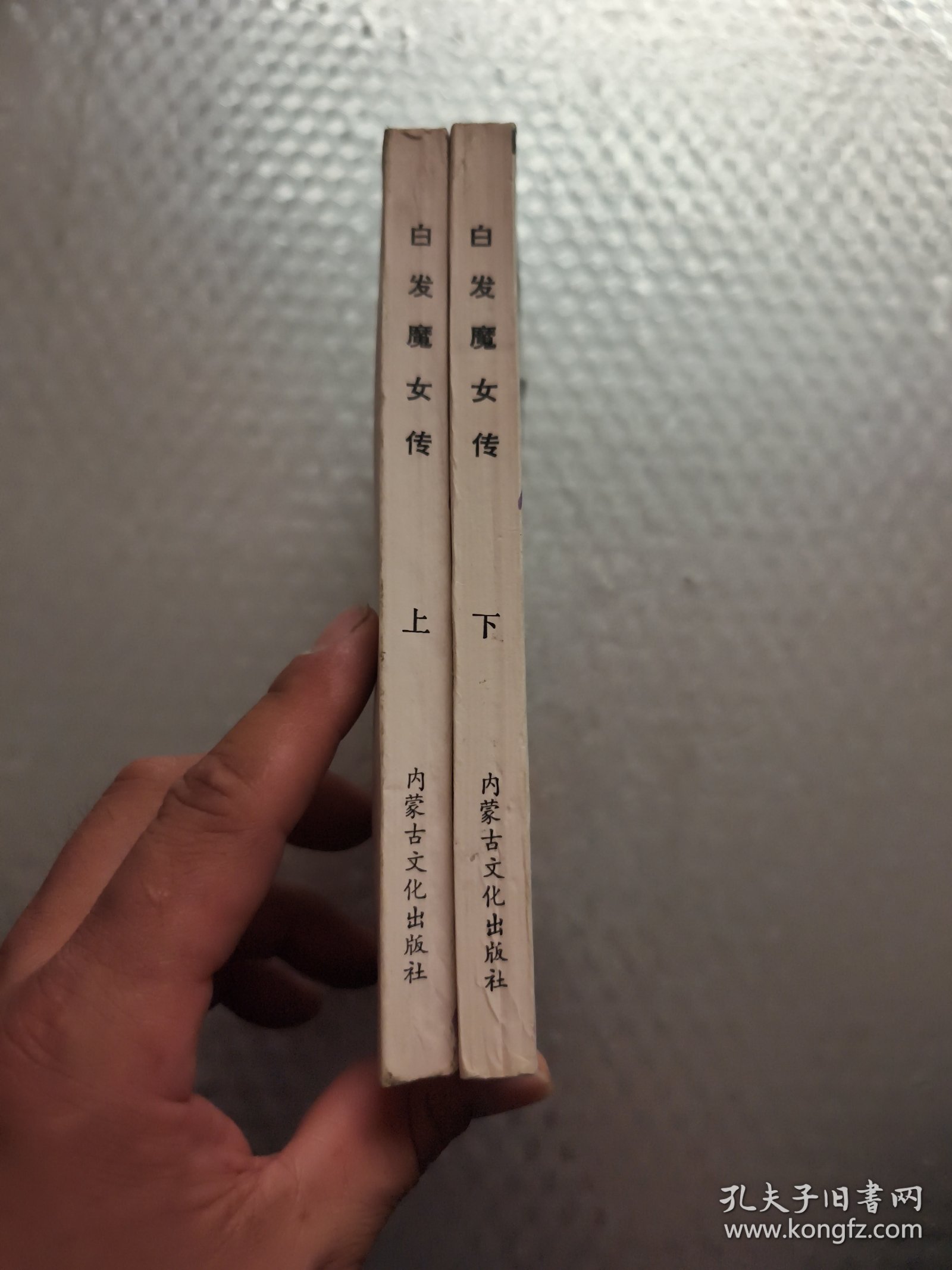 白发魔女传 上下