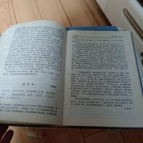 唐五代词鉴赏辞典