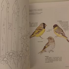 和你同画园中鸟