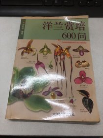 洋兰赏培600问