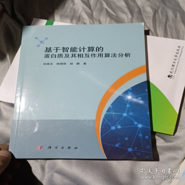 基于智能计算的蛋白质及其相互作用算法分析