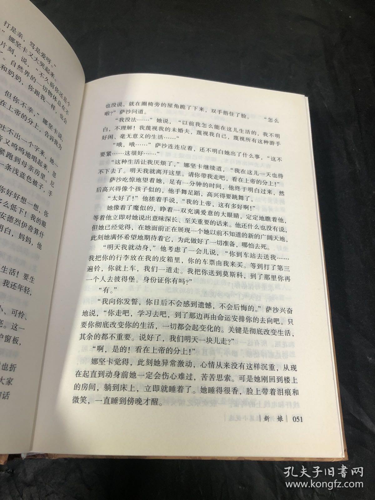 契诃夫短篇小说选（全译本 异国文学经典名家名译）