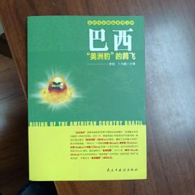 金砖国家崛起系列·巴西：“美洲豹”的腾飞