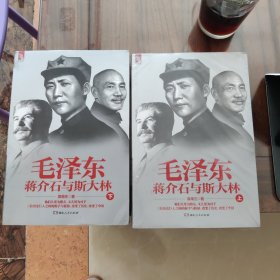 毛泽东、蒋介石与斯大林（下册）