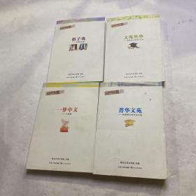 湖北大学文学院学生科研创作丛书（共4本）