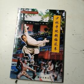 少林寺地趟梅花拳