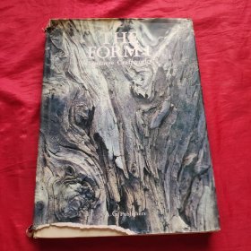 THE FORM1