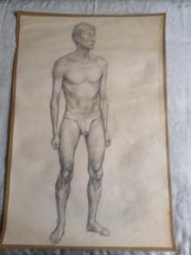 画工精美的大幅手绘人体素描画（2开）