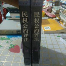 民权公约评注:联合国《公民权利和政治权利》（上下）