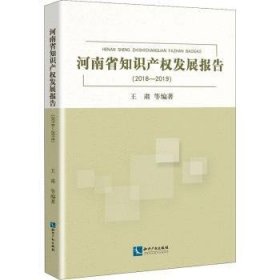 河南省知识产权发展报告（2018—2019）