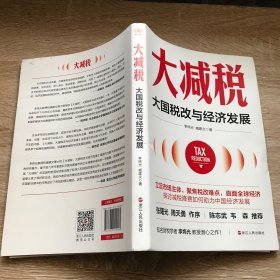 财之道丛书·大减税：大国税改与经济发展（张曙光、周天勇作序，陈志武、韦森推荐）