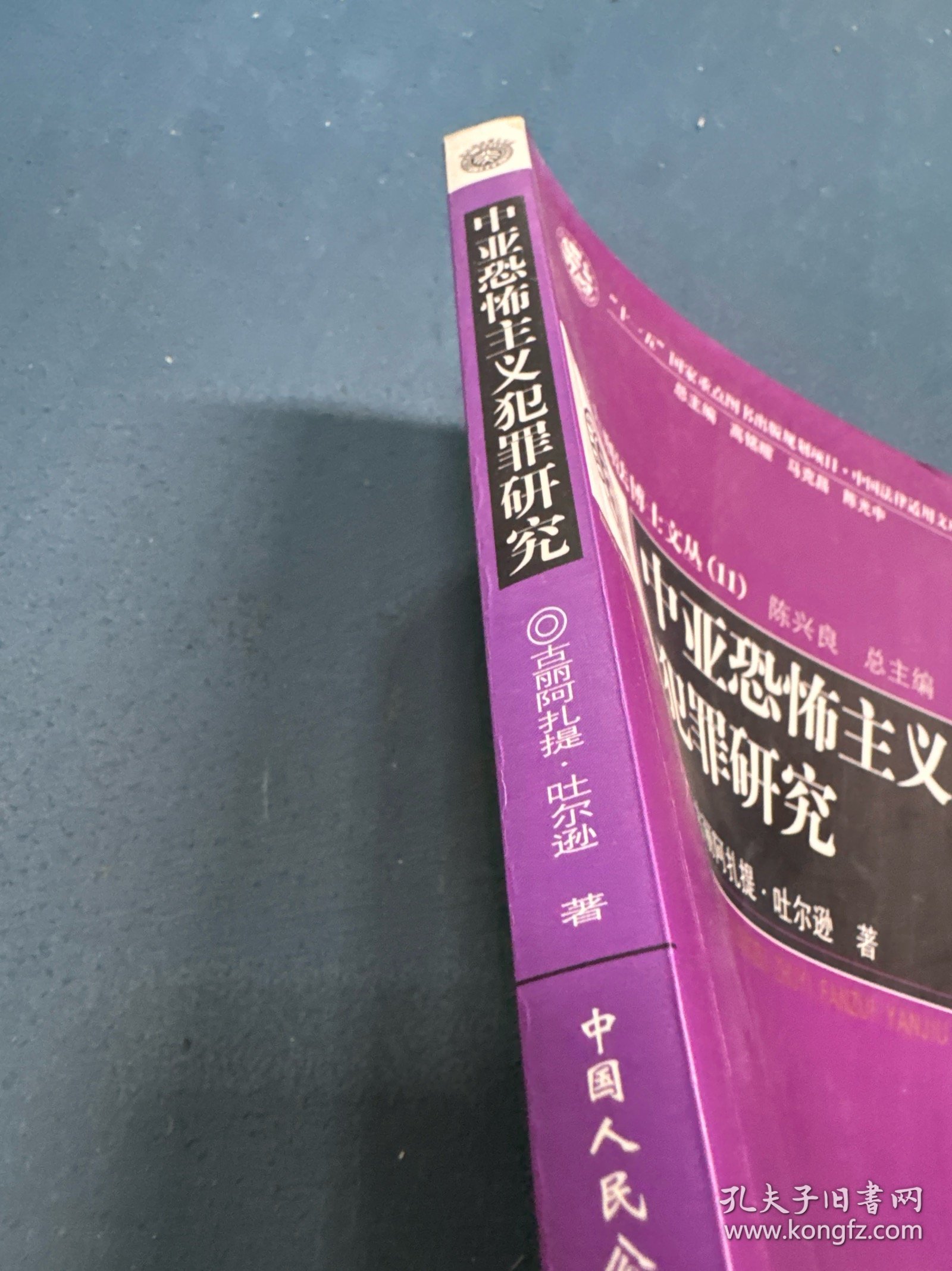 中亚恐怖主义犯罪研究