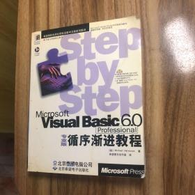 Microsoft Visual Basic 6.0专业版循序渐进教程