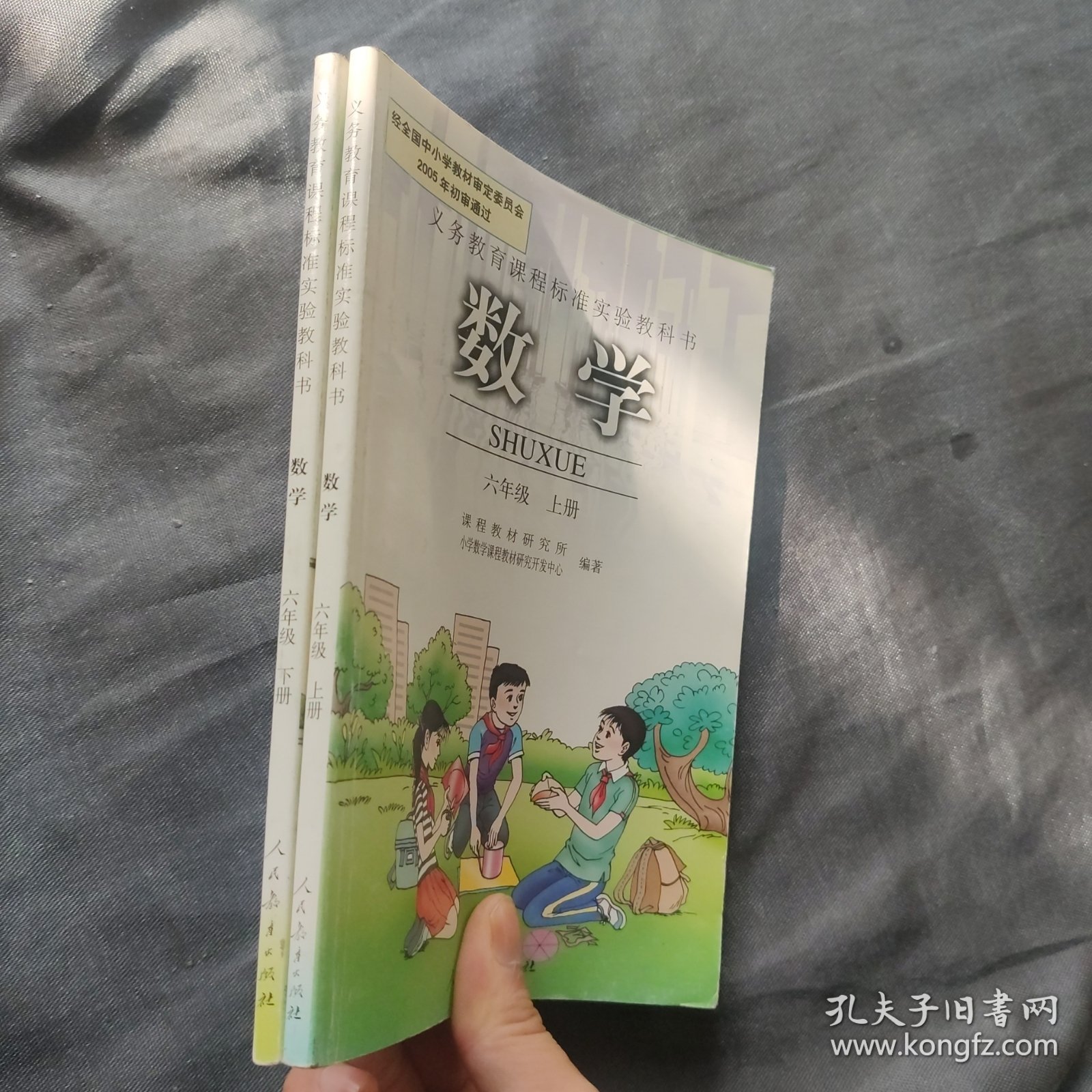 义务教育课程标准实验教科书数学六年级上下册