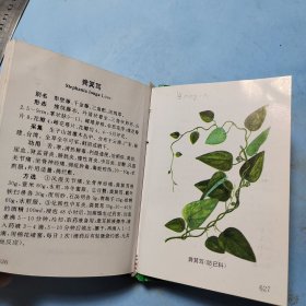 袖珍青草药彩色图谱