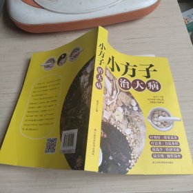 小方子治大病