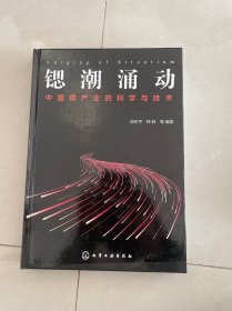 锶潮涌动：中国锶产业的科学与技术 精装见图