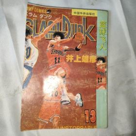 篮球飞人(第13册)