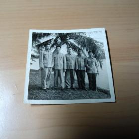 老照片–五个青年在椰子树下合影留念
