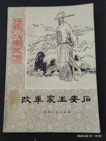 改革家王安石（历史小故事丛书）