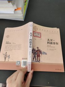大卫 科波菲尔 中小学生课外阅读书籍世界经典文学名著青少年儿童文学读物故事书名家名译原汁原味读原著