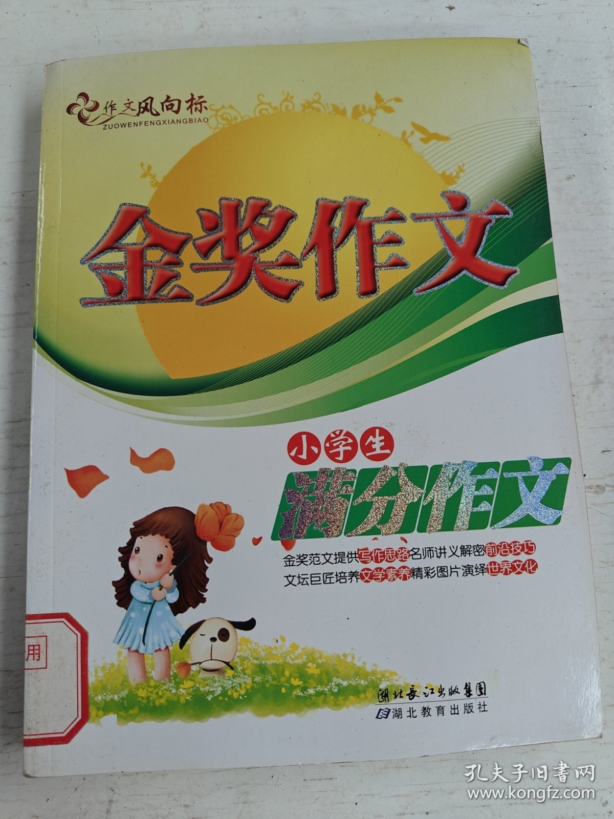 金奖作文：小学生满分作文