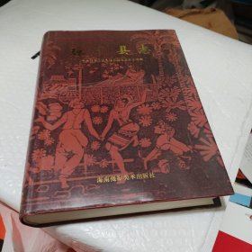 琼中县志