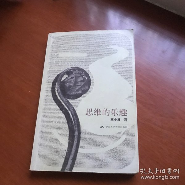 思维的乐趣