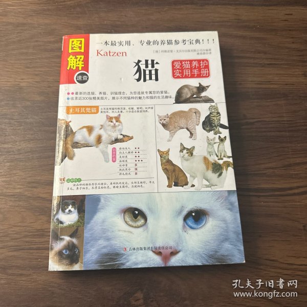 猫：爱猫养护实用手册