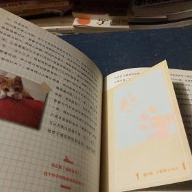 《从前啊，有一只猫小宝》