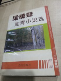 梁晓声知青小说选