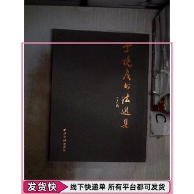 丁晓飞书法选集..