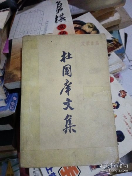 杜国痒文集