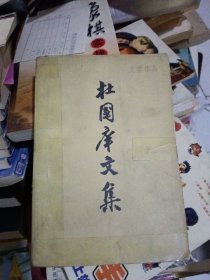 杜国痒文集