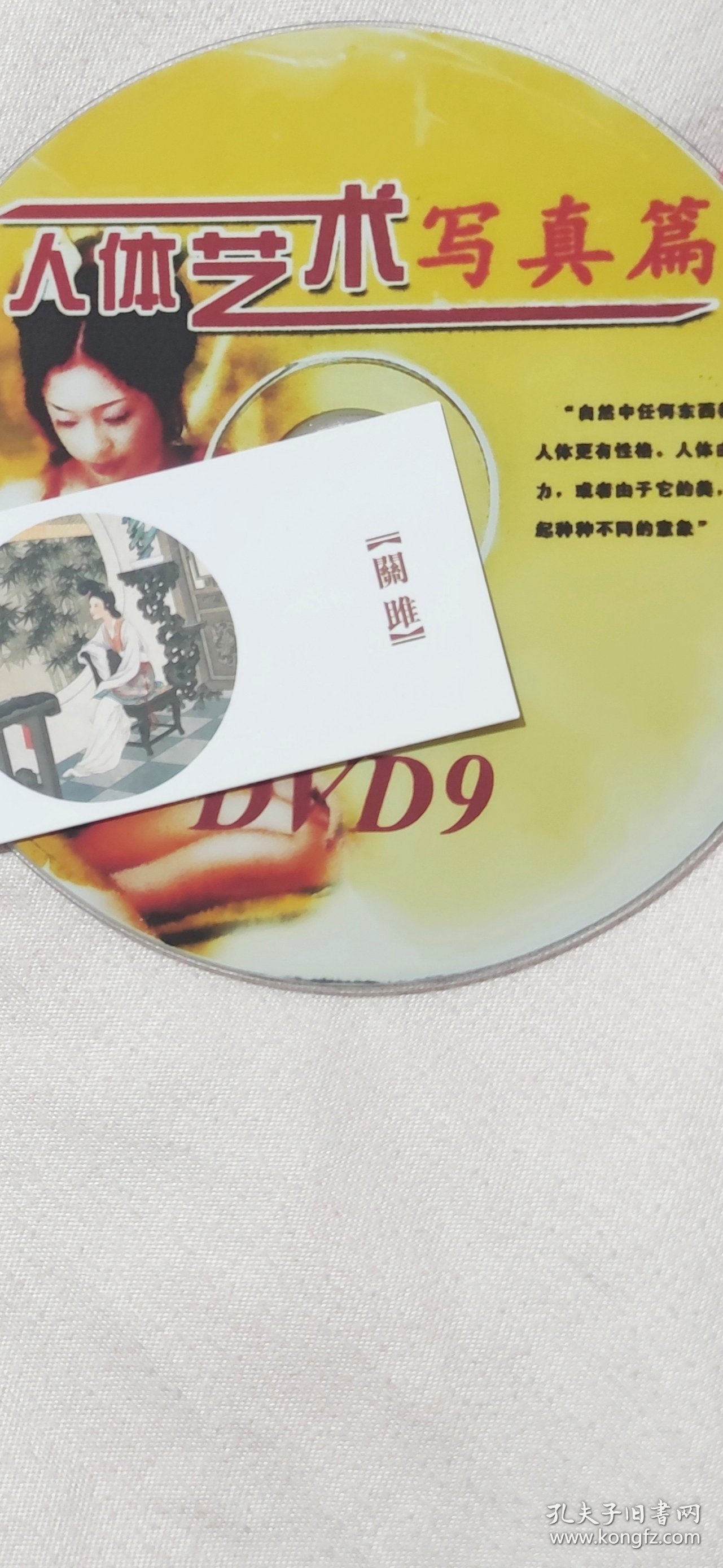 人体艺术 DVD9光盘 1张DVD光盘 人体艺术写真篇(含王丹古典风之舞，东方古韵，江南丽人，丝路花雨……10部作品，片长7个多小时，稀有资源。)