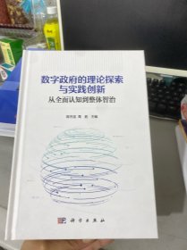 数字政府的理论探索与实践创新——从全面认知到整体智治