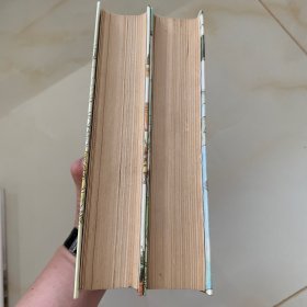 金瓶梅词话(上,下)