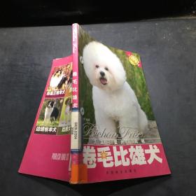 卷毛比雄犬