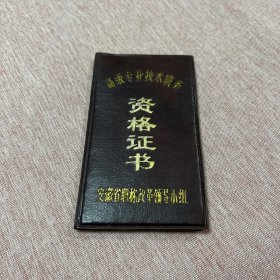 1989年安徽省高级专业技术职务资格证书