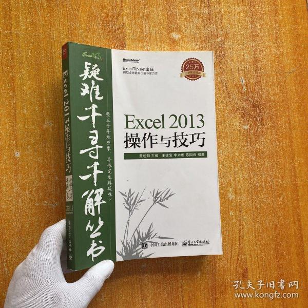 疑难千寻千解丛书 Excel 2013操作与技巧