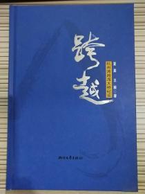 跨越：杭州湾跨海大桥纪实