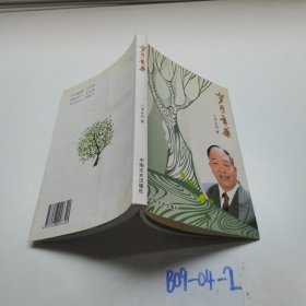 歲月年華