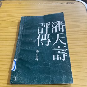 潘天寿评传